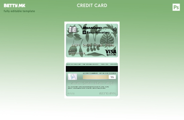 Модерен стил Еквадор Банко Боливарино банкарски виза шаблон картичка